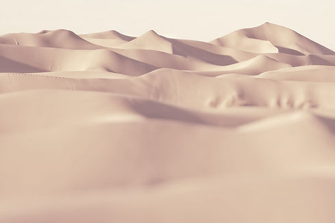 hasan-almasi-nKNm_75lH4g-unsplash Copy.j